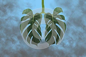 Monstera leaf as lungs shape,surrounded by gray toxic smoke,CO2.Ecology,air pollution,harm to human body,smoking,smog