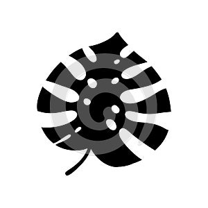 Monstera leaf. Black silhouette. Tropical forest element.