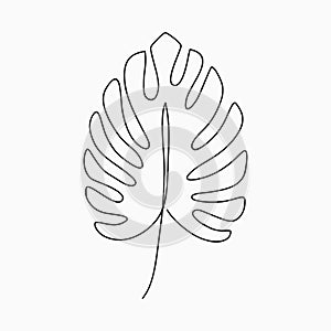 Monstera leaf - one line drawing. Continuous line exotic plant. Hand-drawn minimalist illustration photo