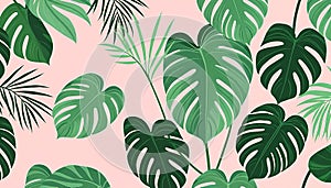 Monstera leaf pattern, tropical plant design, Stock Photo, Generative AI photo
