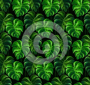 Monstera leaves seamless pattern on dark background.