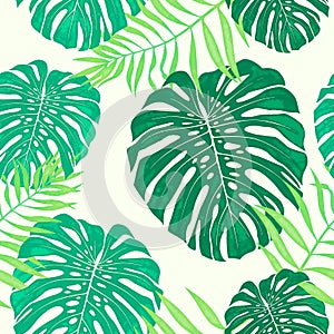 Monstera leaves seamless pattern. Vector tropical botanical illustration.