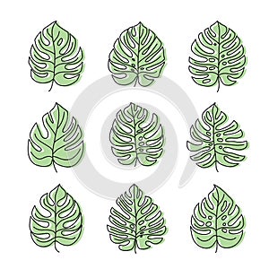 monstera leaves. set of vector color icons isolated on white background
