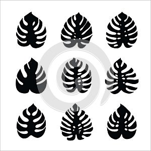 monstera leaves. set of vector icons isolated on white background