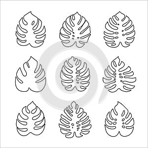 monstera leaves. set of vector icons isolated on white background