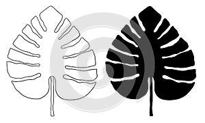 Monstera outline and silhouette vector botanical illustration. Tropic palm leaves.