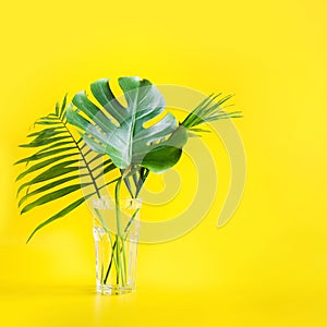 Monstera and palm leaves in glass isolated on bright yellow. Minimalism