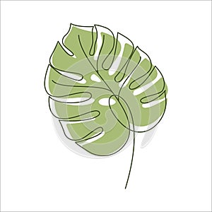 Monstera plant leaf in linear drawing icon.