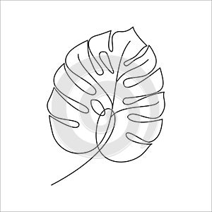 Monstera plant leaf in linear drawing icon.