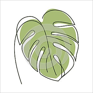 Monstera plant leaf in linear drawing icon.