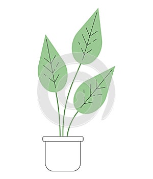 Monstera plant in pot monochrome flat vector object photo