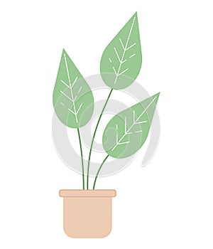 Monstera plant in pot semi flat colour vector object photo