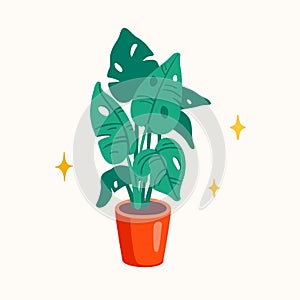 Monstera plant in a pot vector flat illustration. Tropical interior palm, house garden.