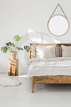 Monstera plant on a tree trunk night stand and a round mirror on a white wall in a sunlit bedroom interior with wooden furniture