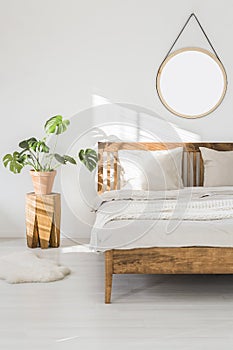 Monstera plant on a tree trunk night stand and a round mirror on a white wall in a sunlit bedroom interior with wooden furniture photo