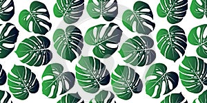 Monstera tropical leaf vector illustration. Seamless pattern