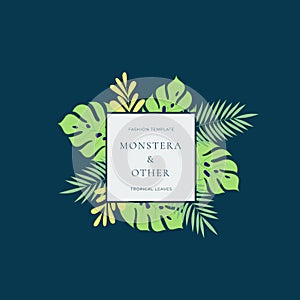 Monstera Tropical Leaves Fashion Sign or Logo Template. Abstract Green Foliage with Square Border and Classy Typography