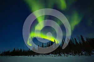 Monstrous Swirling Northern Lights in Midnight Blue Sky