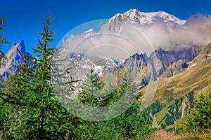 Mont Blanc massif idyllic alpine landscape countryside, Chamonix, French Alps