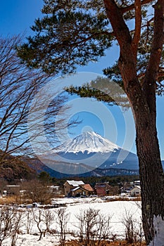 Mont Fuji on a clear winter day, from Saiko village covered by pristine snow in the five lakes region