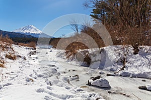 Mont Fuji on a clear winter day from a small stream, in Saiko lake area covered by pristine snow in the five lakes