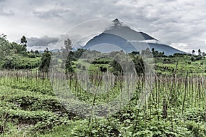 Mont Mikeno in Nord Kivu