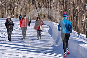 Mont-Royal Park in Montreal after snow storm