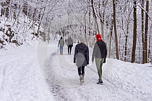 Mont-Royal Park in Montreal after snow storm