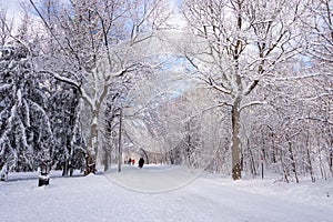 Mont-Royal Park in Montreal after snow storm