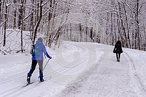 Mont-Royal Park in Montreal after snow storm