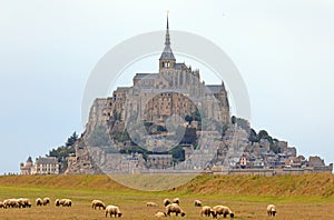 Mont Saint Michel Abbey in Normandy in Northern France and sheep