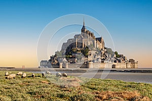 Mont Saint Michel abbey at sunrise, UNESCO world heritage site. Flock of sheep grazing in front of it.  Normandy, France.