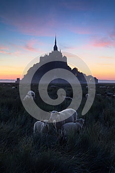 Mont Saint-Michel in early morning. France