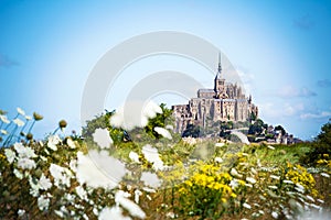 Mont Saint Michel between flowers