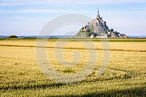 Wheat fields in the polders opposite the Mont Saint-Michel tidal island in Normandy, France