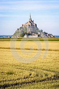 Wheat fields in the polders opposite the Mont Saint-Michel tidal island in Normandy, France
