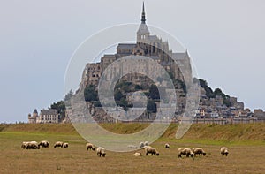 Mont San Michel and the abbey above the mountain and the sheep grazing below in france photo