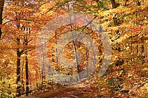 Mont Tremblant National Park in autumn