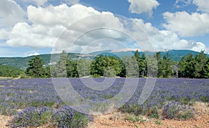 Mont Ventoux,Provence,France