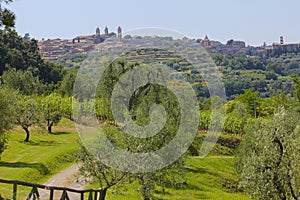 Montalcino, Italy