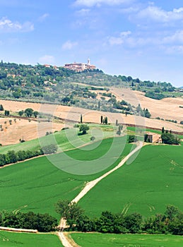 Montalcino In Tuscany photo