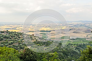 Montalcino (Tuscany)