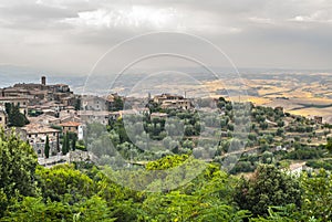 Montalcino (Tuscany)
