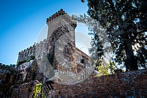 Montalto di Castro, Viterbo - Latium, Italy photo