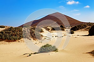 Montana Amarilla, La Graciosa, Lanzarote, Canary Islands, Spain, Europe