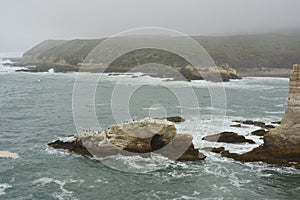 Montana De Oro arches