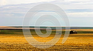 Montana farmland