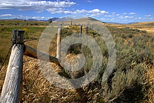 Montana Fence