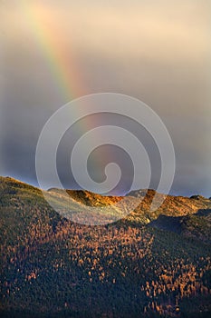 Montana Gold Rainbow Hills Fall