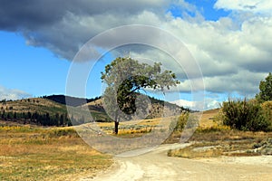 Montana Landscape